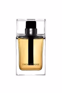 عطر ادکلن دیور هوم (نقره‌ای) | Dior Homme EDT