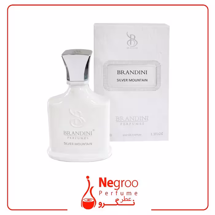 عطر جیبی برندینی مدل Silver Mountain حجم 33 میلی لیتر