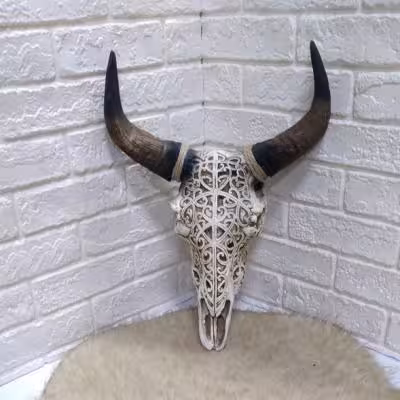 کله گاوه دیواری