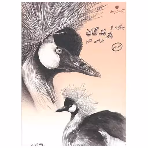 کتاب چگونه از پرندگان طراحی کنیم اثر بهنام شریفی