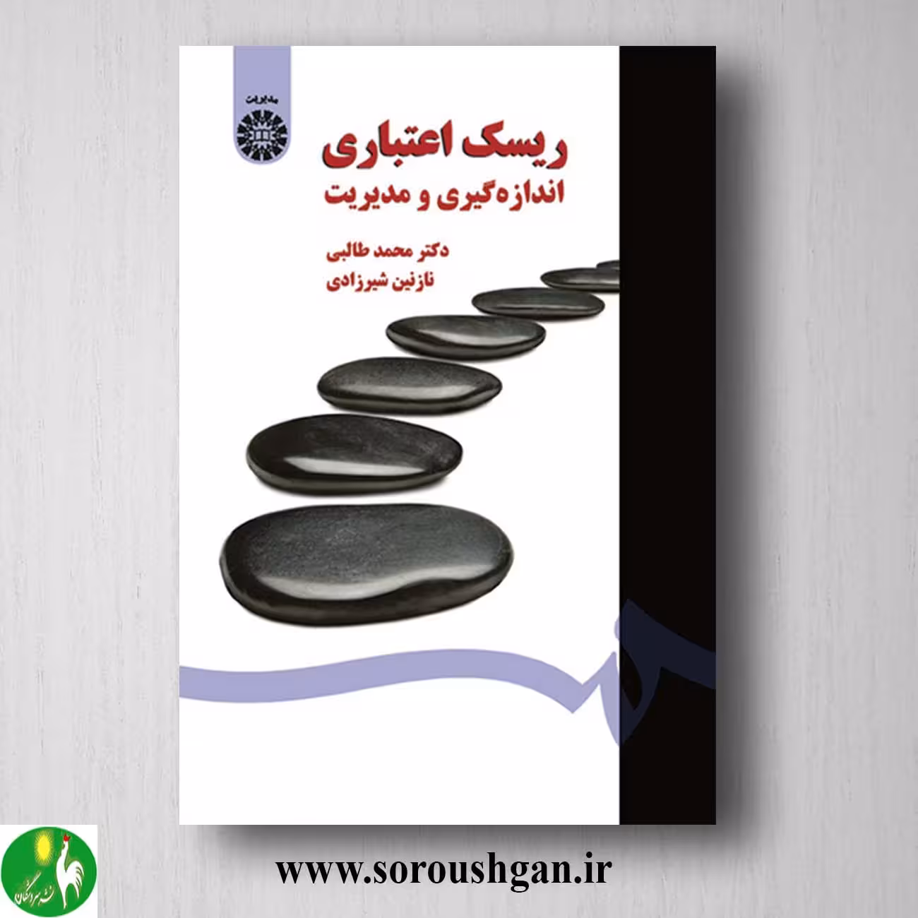 کتاب ریسک اعتباری: اندازه گیری و مدیریت اثر محمد طالبی