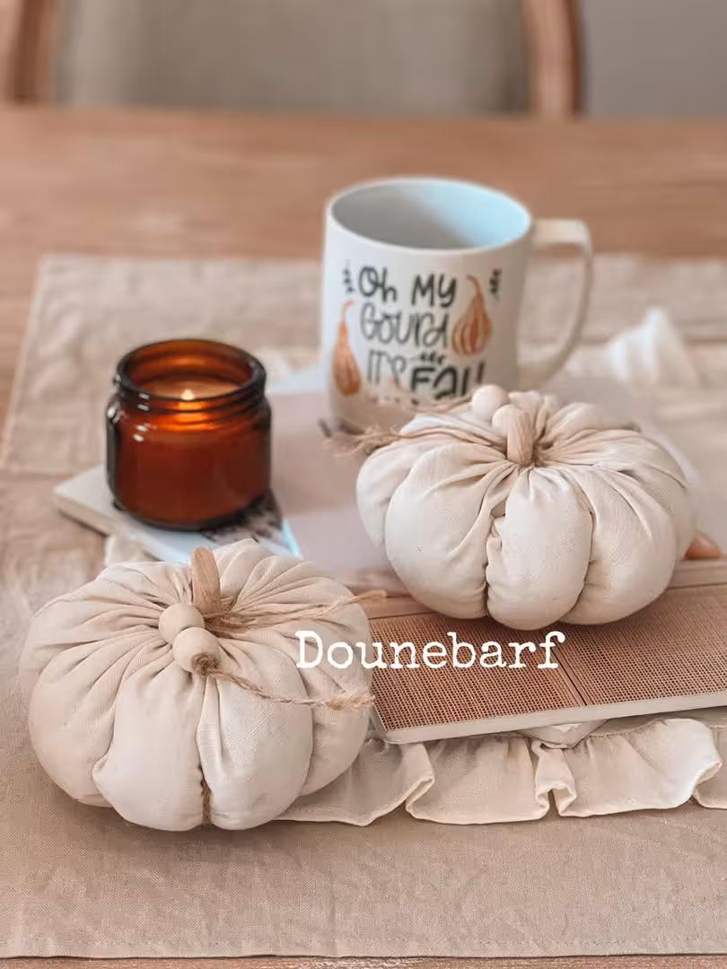 کدو پارچه ای ساده ( 10370 )