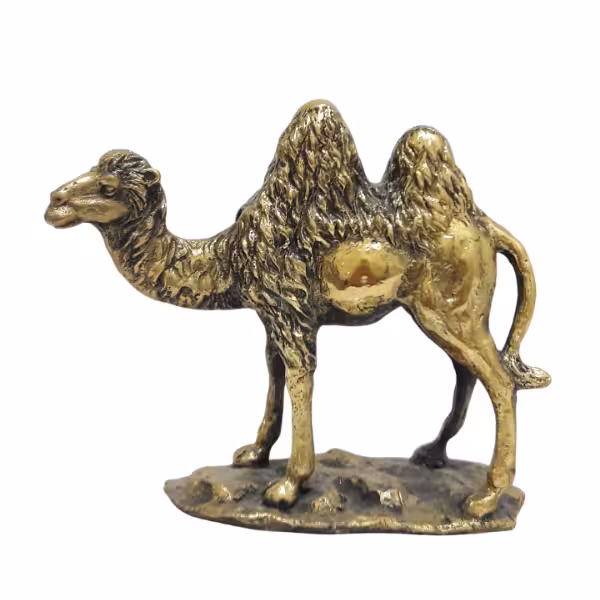 مجسمه شتر برنزی