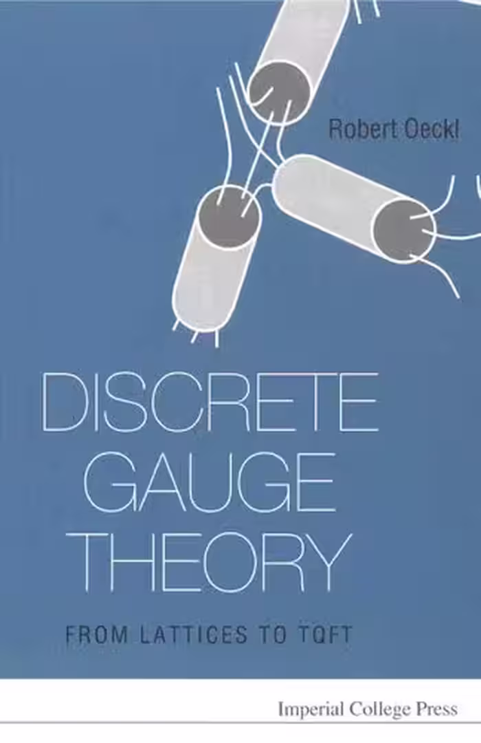 خرید و دانلود نسخه کامل کتاب Discrete Gauge Theory: From Lattices to TQFT