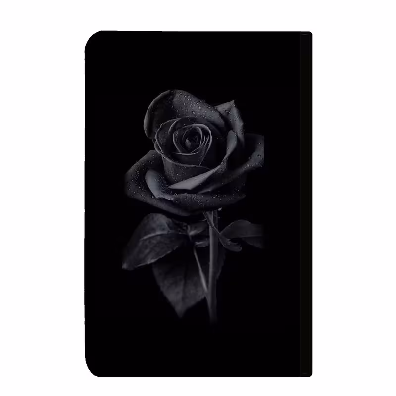 کلاسور مدل 624 | چاوه