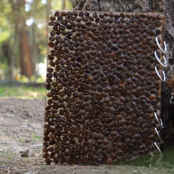 دفتر خاطرات باترکیب قهوه برجسته .وزن 560گرم .سایز 16در21 .