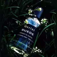 ادوپرفیوم Suede از برند Gerini