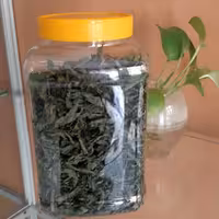 برگ نعنا خشک