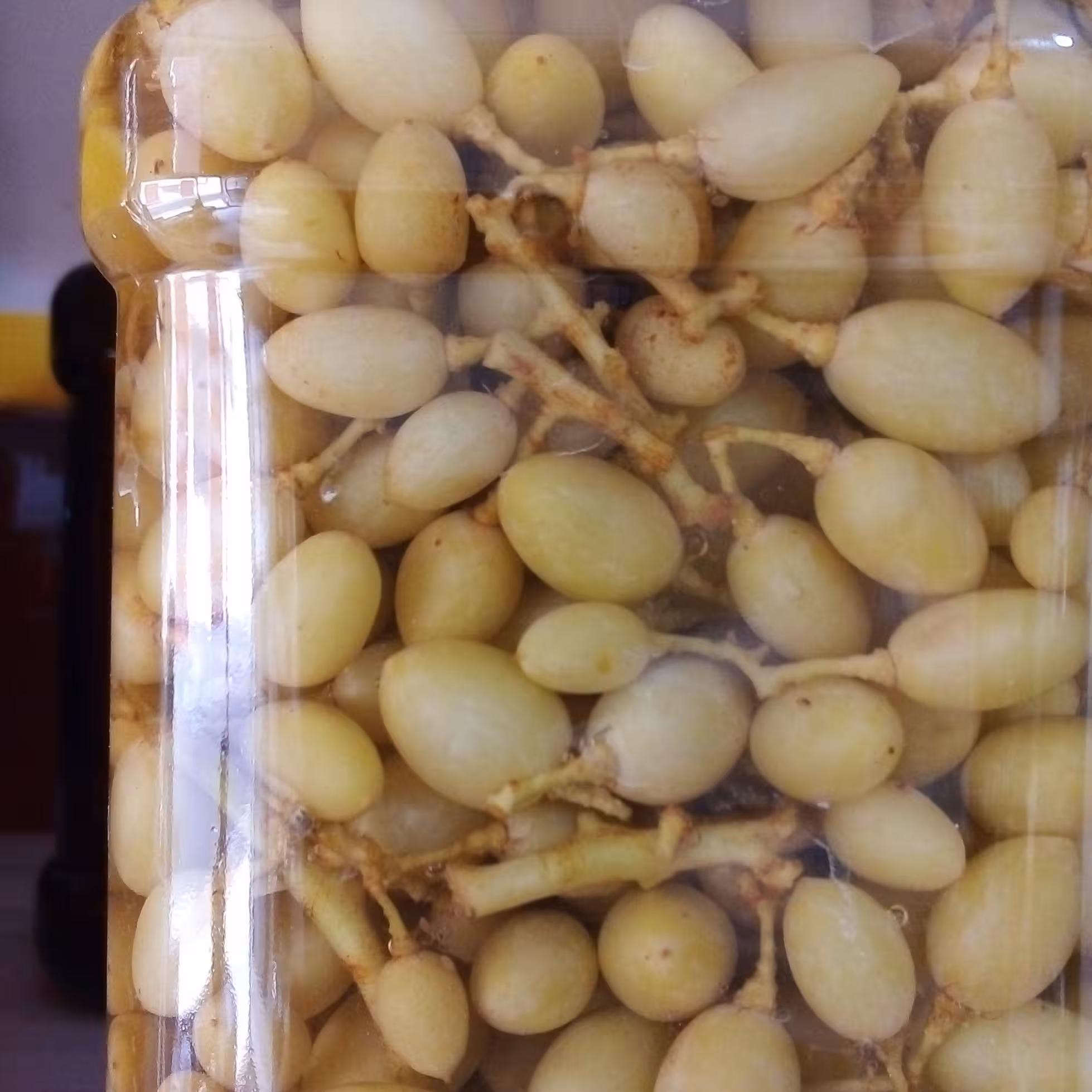 ترشی غوره غوره ممتاز 