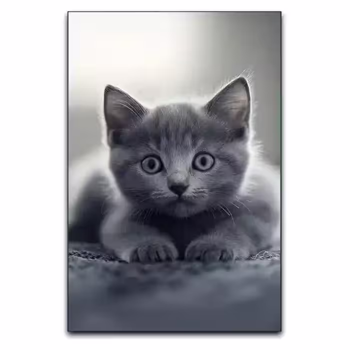 تابلو طرح گربه