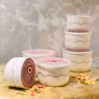 FUTIAN فوتین  ظرف فریزری سرامیک 3 سایزی  بزرگ 3000