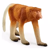 میمون دماغ دراز اشلایش Schleich