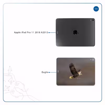 برچسب پوششی ماهوت مدل Eagle مناسب برای تبلت اپل iPad Pro 11 2018 A2013