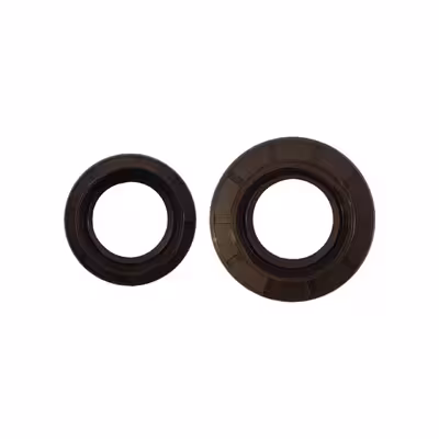 کاسه نمد پلوس مدل 001-2303132 مناسب برای گریت وال ولکس C30 بسته دو عددی