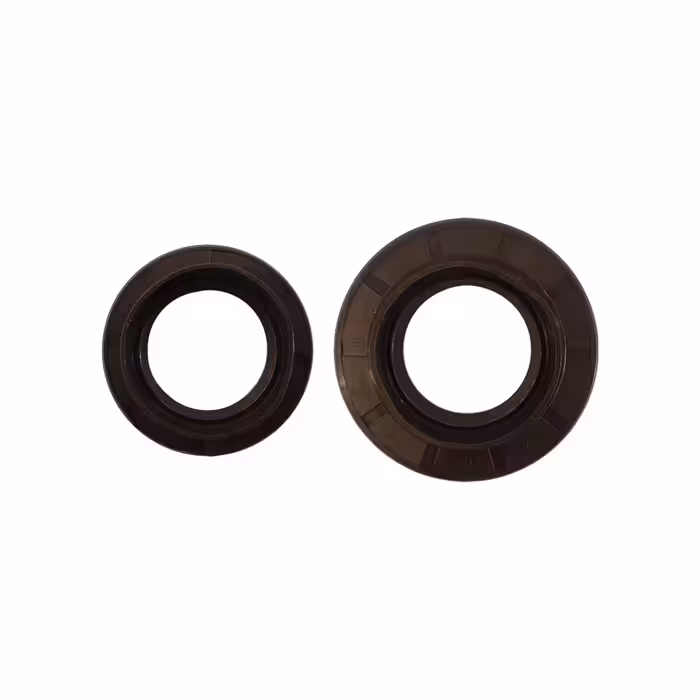 کاسه نمد پلوس مدل 001-2303132 مناسب برای گریت وال ولکس C30 بسته دو عددی