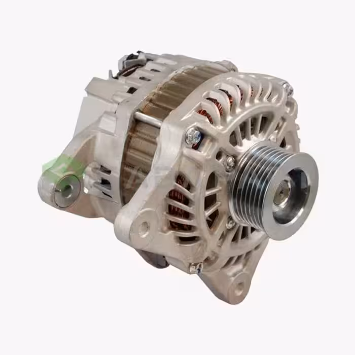 دینام نیسان جوک منطقه آزاد – محصول اصلی