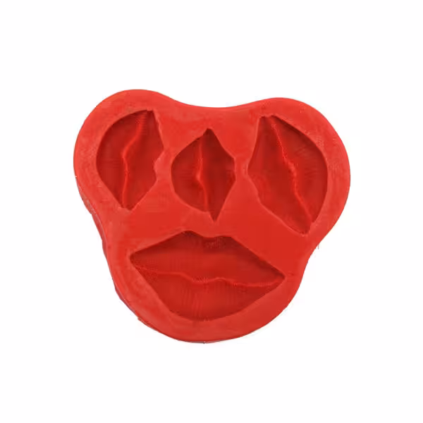 ملد لب 4 عددی سورناپارت