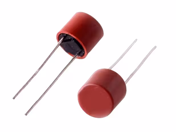 میکرو فیوز گرد 2A