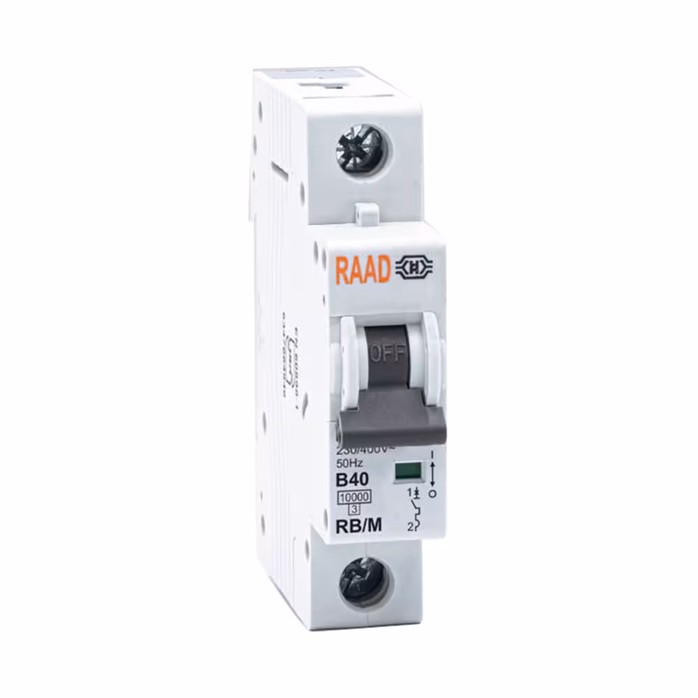 کلید مینیاتوری 1 پل 40 آمپر RB-M-1P-B40-10KA رعد
