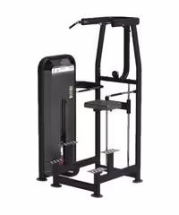 دستگاه پارالل بارفیکس کمک دار پارامونت سری PRO