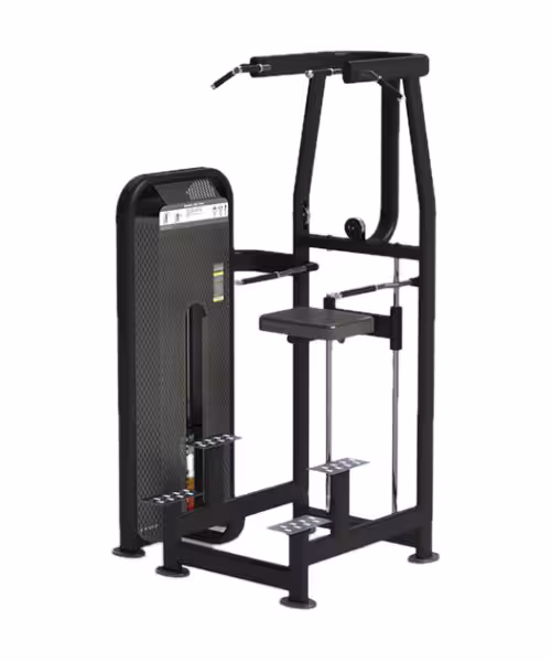 دستگاه پارالل بارفیکس کمک دار پارامونت سری PRO