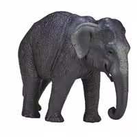 فیگور فیل آسیایی MOJO Asian Elephant