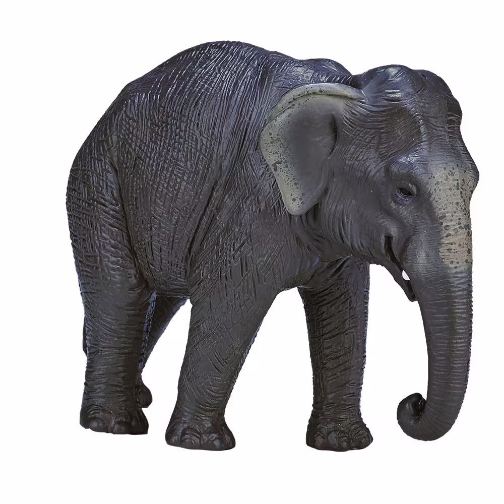 فیگور فیل آسیایی MOJO Asian Elephant