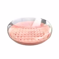 زیر صابون درب دار مانترا