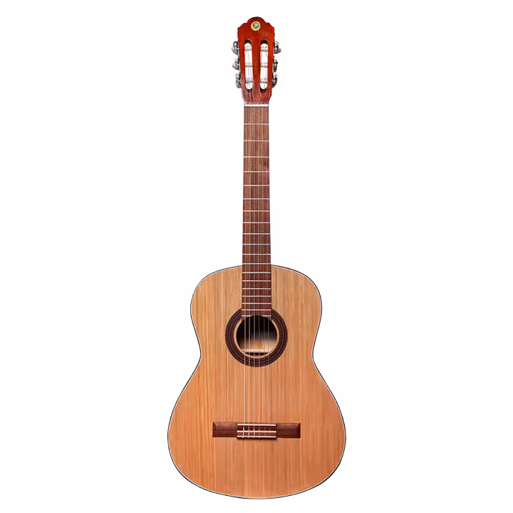 گیتار متاع پور مدل مت 2 پلاس (مات)