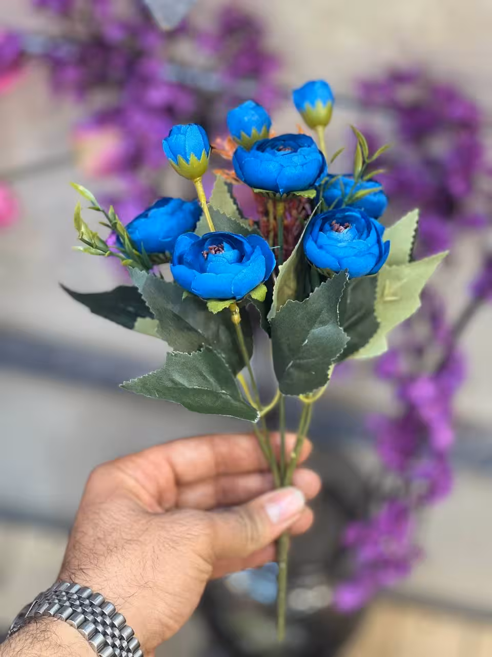 بوته پیونی آبی پررنگ