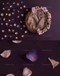 بک دراپ نوزاد گلبرگ های بنفش | گرافیک با طعم تربچه