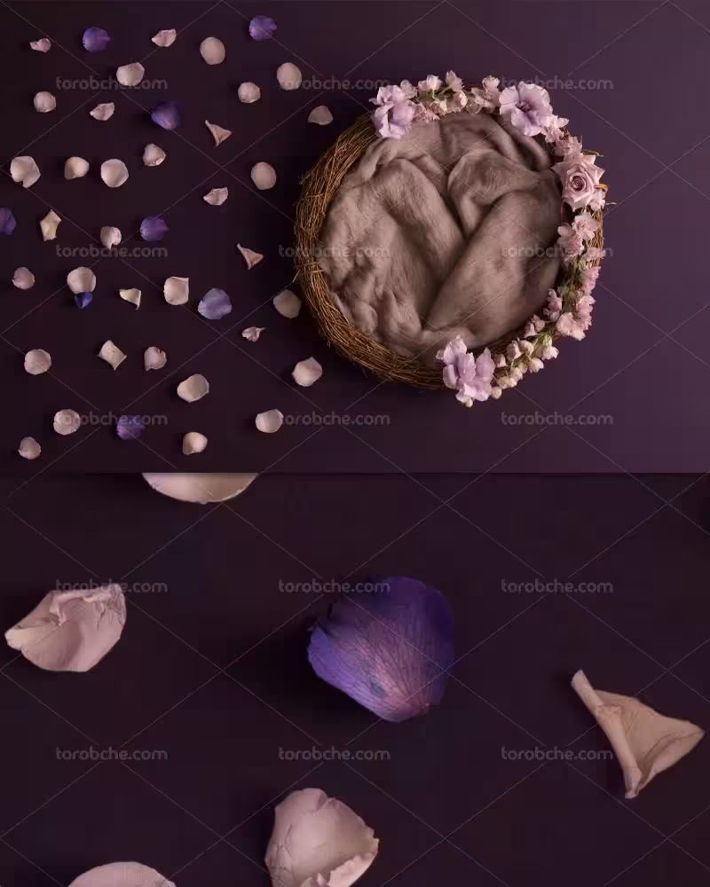 بک دراپ نوزاد گلبرگ های بنفش | گرافیک با طعم تربچه