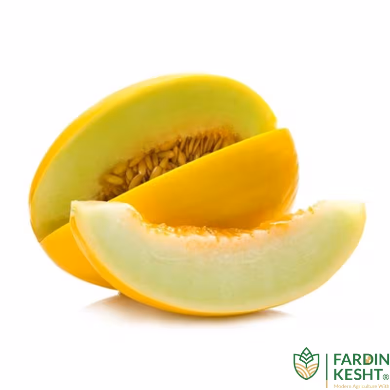 بذر خربزه کاناری بسته 25 عددی