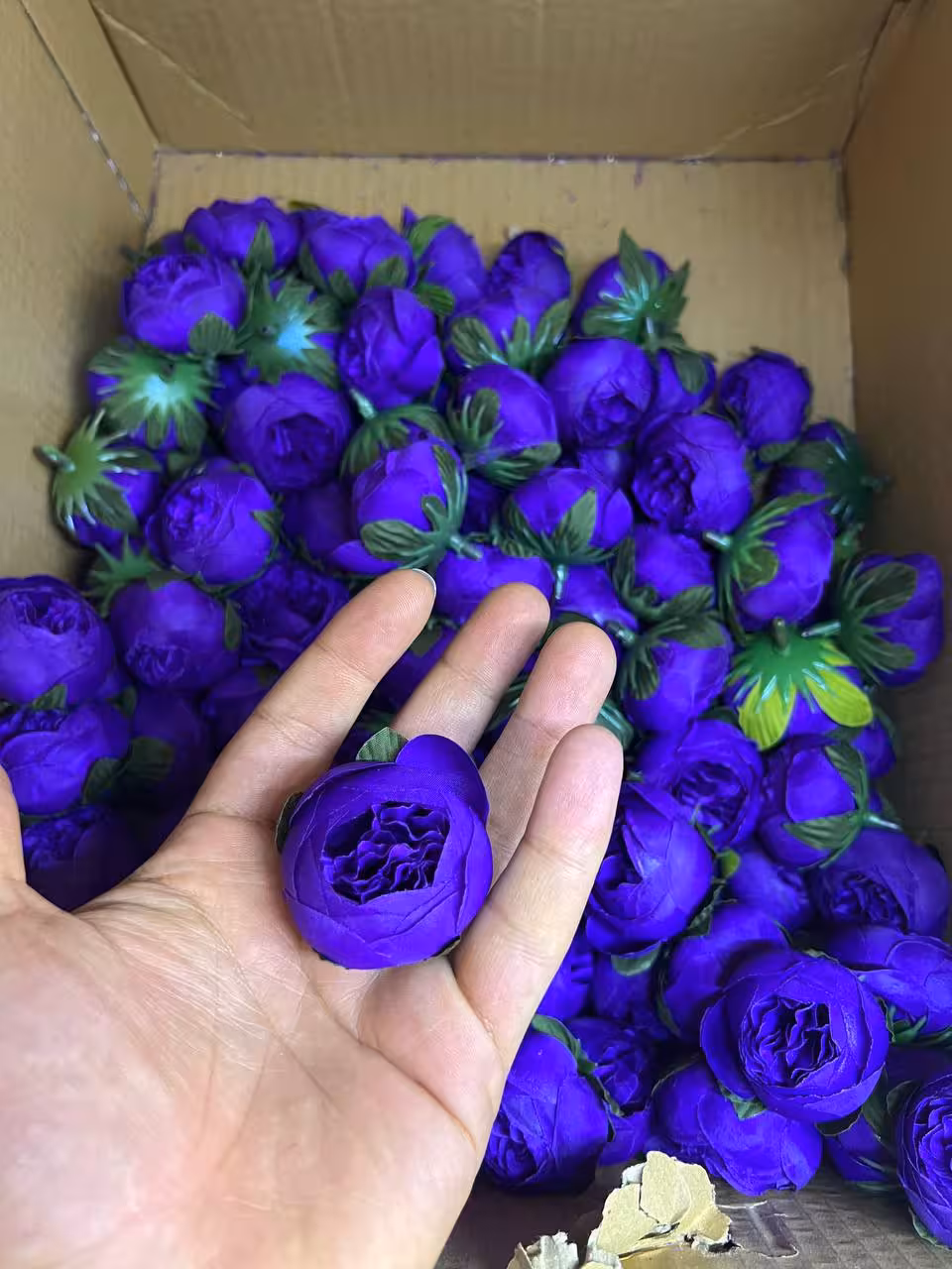 سرگل پیونی سایز کوچک رنگ بنفش 10عددی