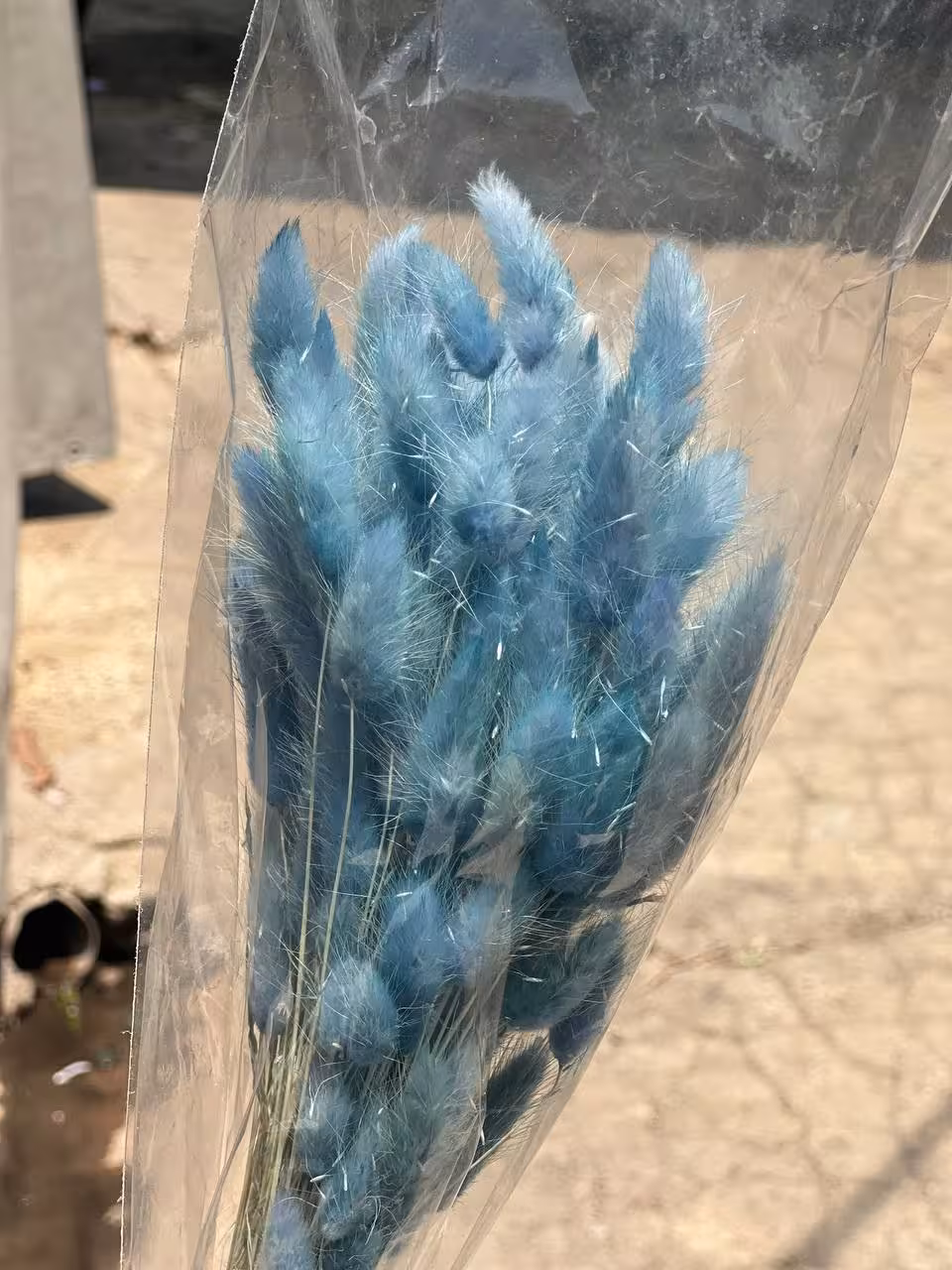 گل خشک دم خرگوشی سایز بزرگ رنگ ابی