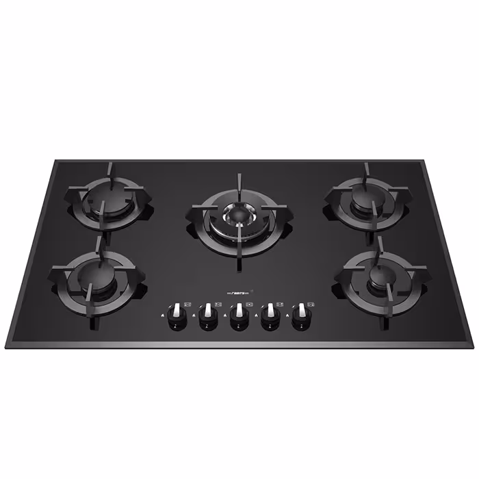 گاز صفحه ای رابیتس RG-554H