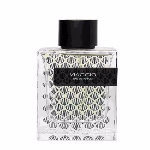 عطر ادکلن ویاجیو مردانه