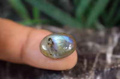 لابرادوریت