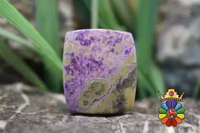 استیچ تیت (اتلانتیسیت)