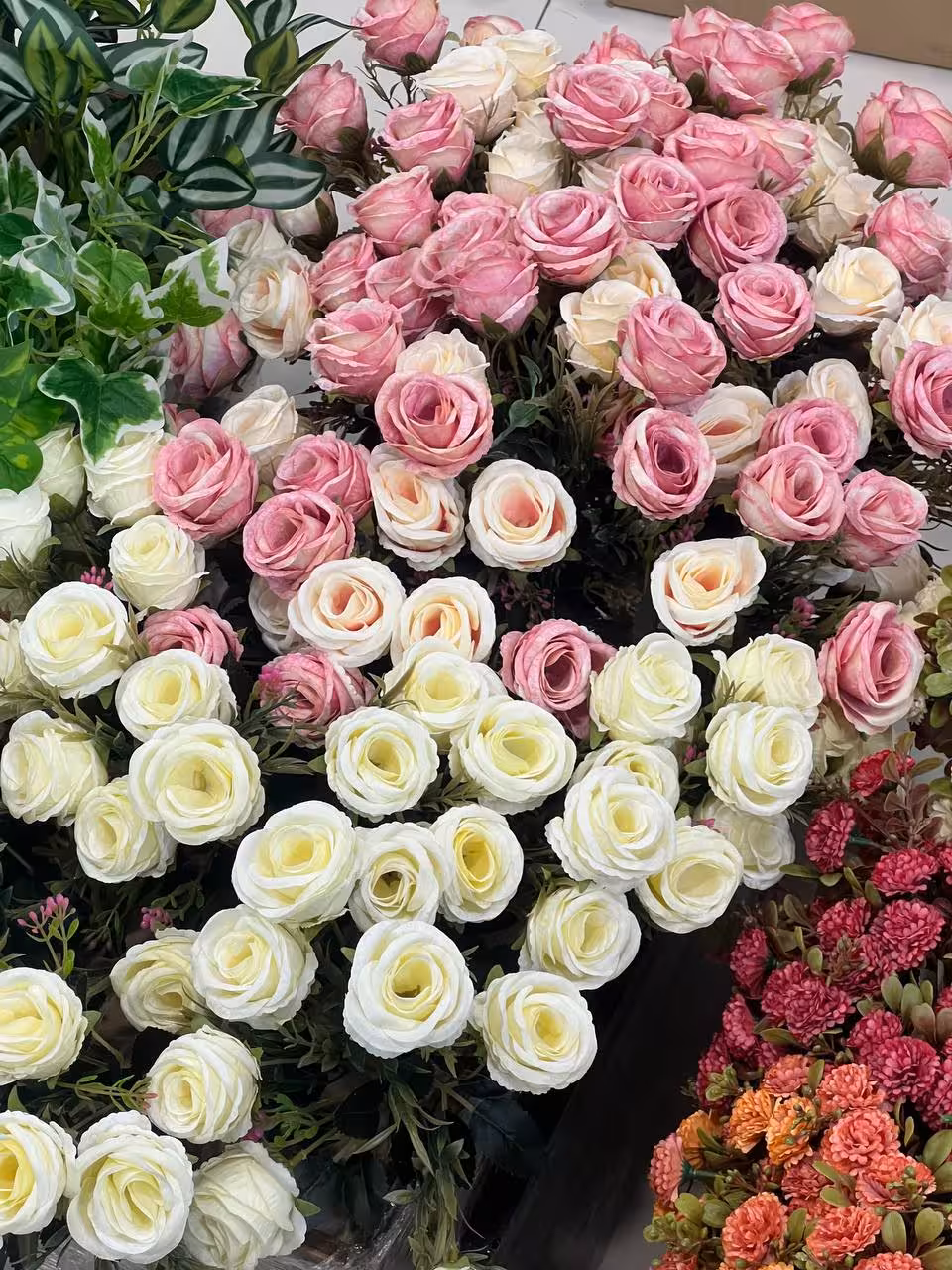 بوته گل رز صورتی هفت گل