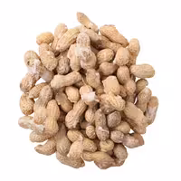 بادام زمینی با پوست آستانه 500 گرمی