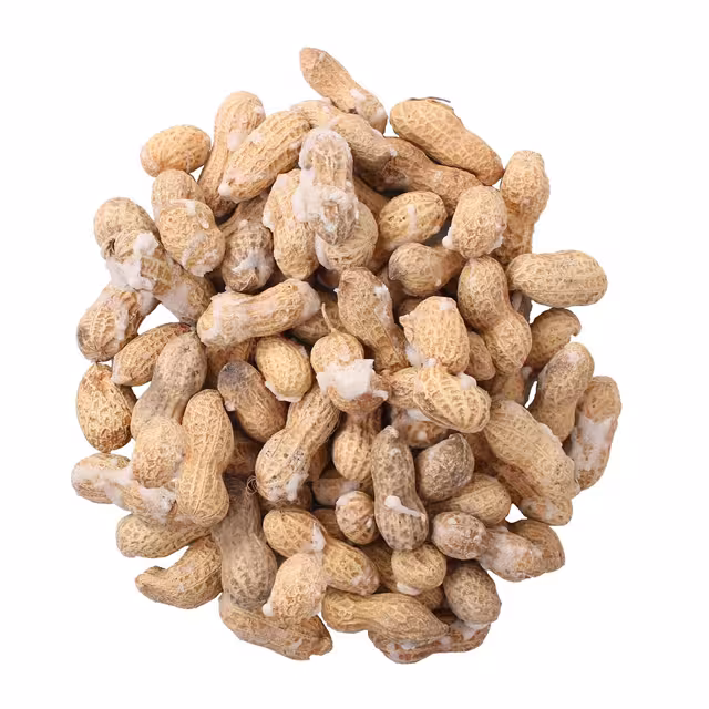 بادام زمینی با پوست آستانه 500 گرمی