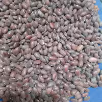 لوبیا قرمز  بوجار شده و تمیز محصول امساله (یک کیلویی ) 