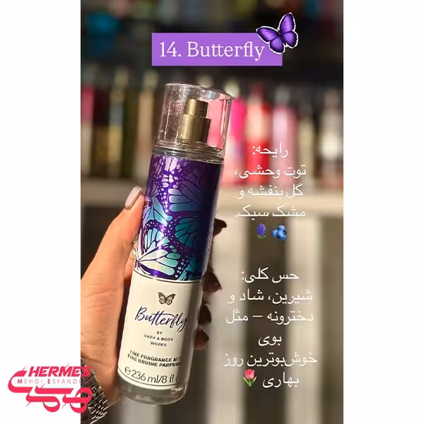 خرید و قیمت بادی میست بث اند بادی ورکز باترفلای Butterfly