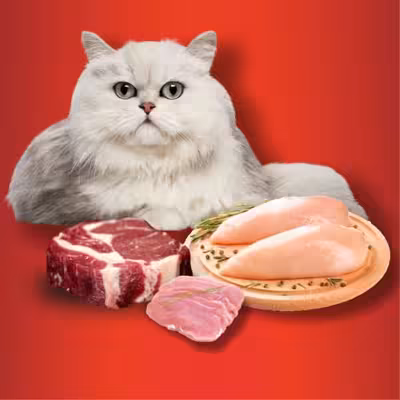 کنسرو غذای گربه پابلو مدل مرغ و سیب وزن 2000 گرم بسته 5 عددی