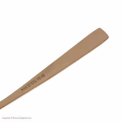 قاشق بستنی خوری ناب استیل مدل فلورانس پی وی دی بسته 6 عددی