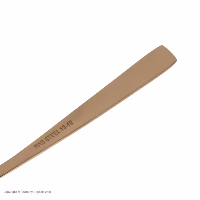 قاشق بستنی خوری ناب استیل مدل فلورانس پی وی دی بسته 6 عددی