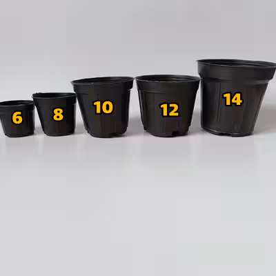 گلدان مدل کشاورزی کد A_12 بسته 20 عددی