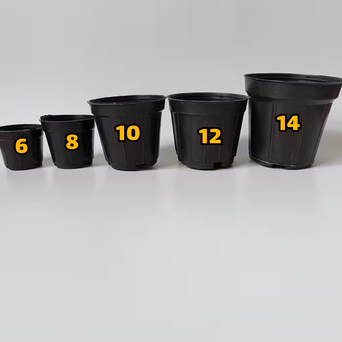 گلدان مدل کشاورزی کد A_12 بسته 20 عددی