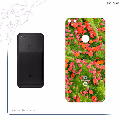 برچسب پوششی ماهوت مدل Atom Universe 3 مناسب برای گوشی موبایل گوگل Pixel